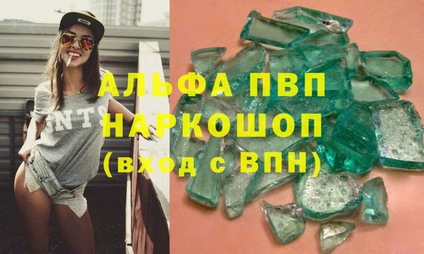молекула духа Вяземский
