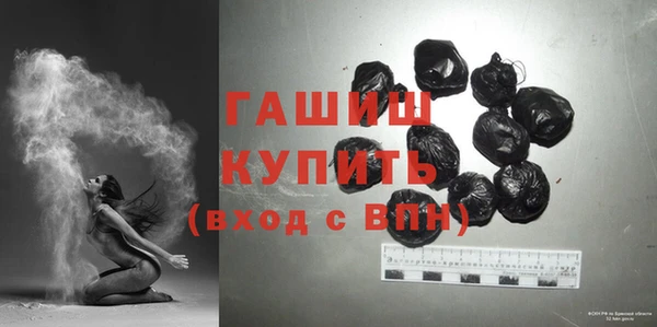молекула духа Вяземский