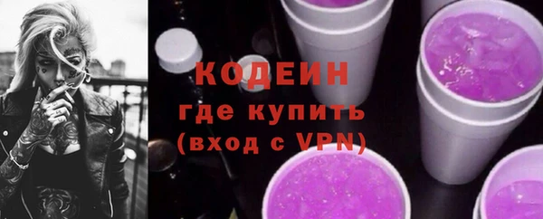 молекула духа Вяземский
