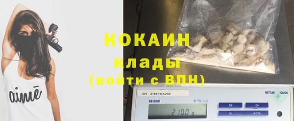 молекула духа Вяземский