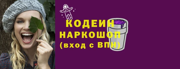 молекула духа Вяземский