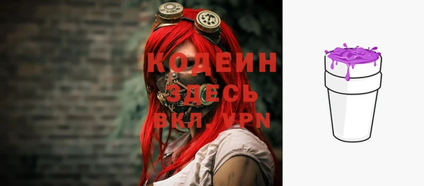 молекула духа Вяземский