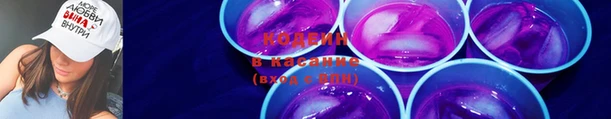 молекула духа Вяземский