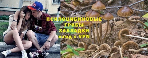 молекула духа Вяземский