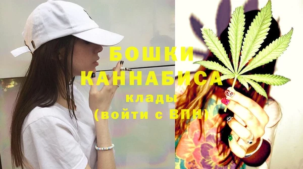 молекула духа Вяземский