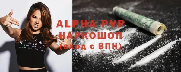 молекула духа Вяземский