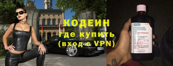 молекула духа Вяземский