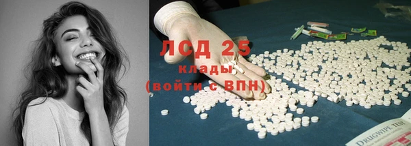 молекула духа Вяземский